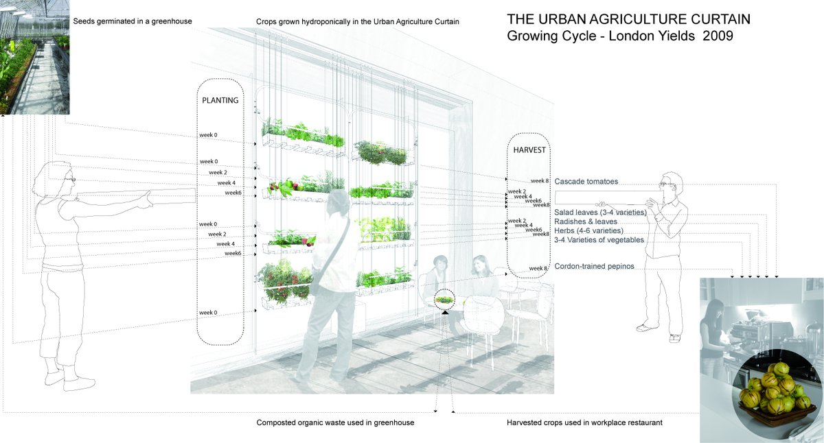 bohnviljoen-uac-foodcycle-91931.jpg